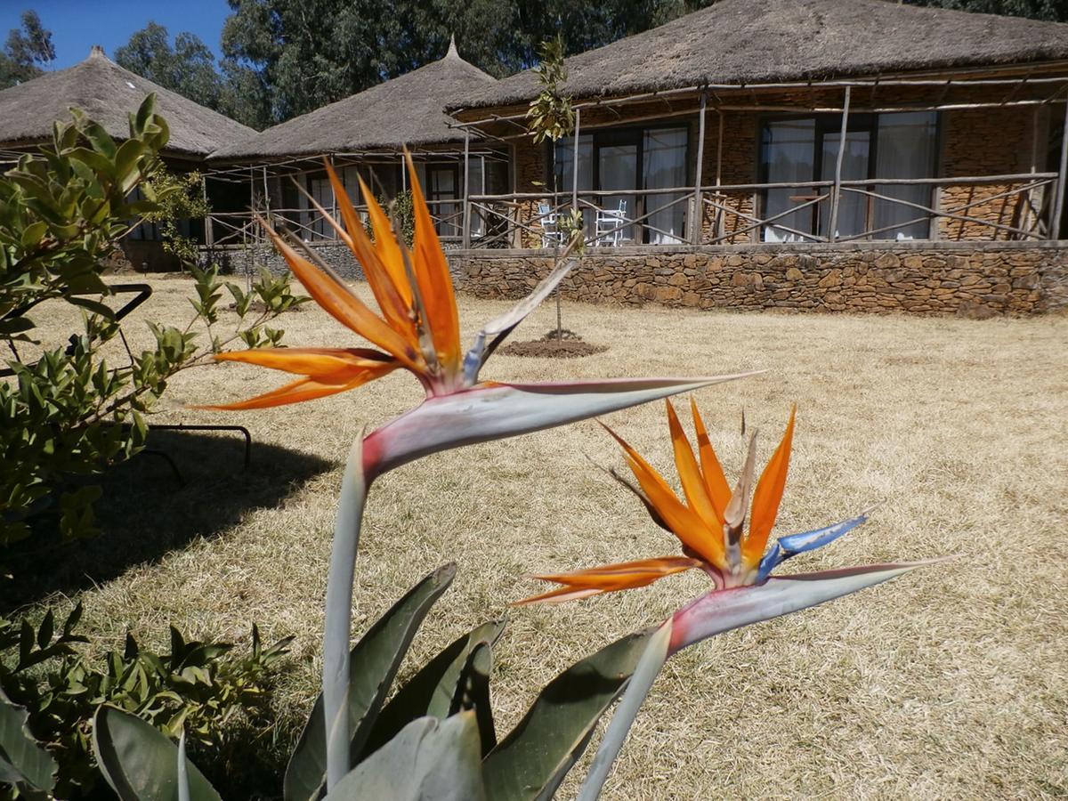 Mayleko Lodge Gondar Exterior foto