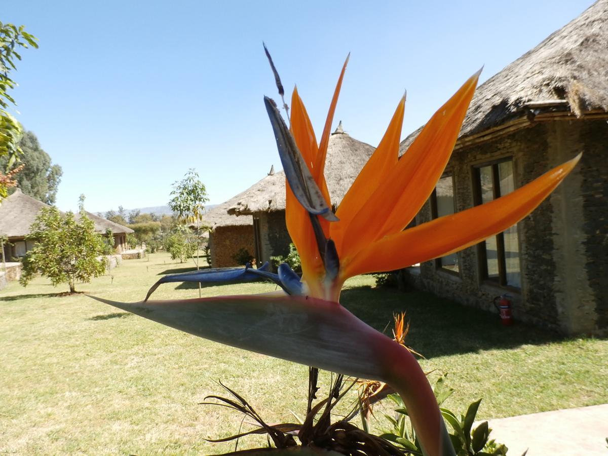 Mayleko Lodge Gondar Exterior foto