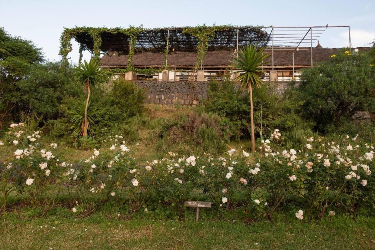 Mayleko Lodge Gondar Exterior foto