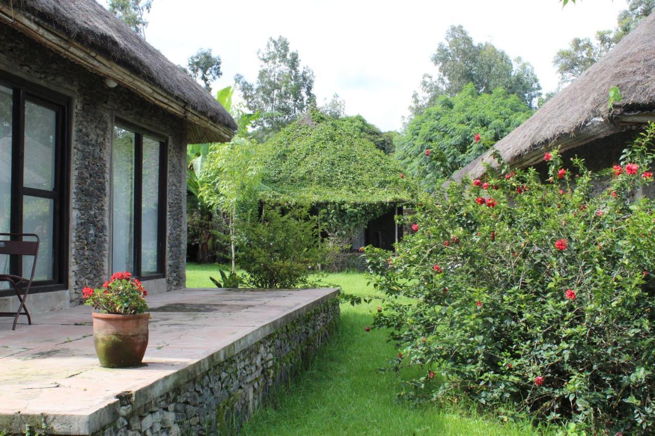 Mayleko Lodge Gondar Exterior foto