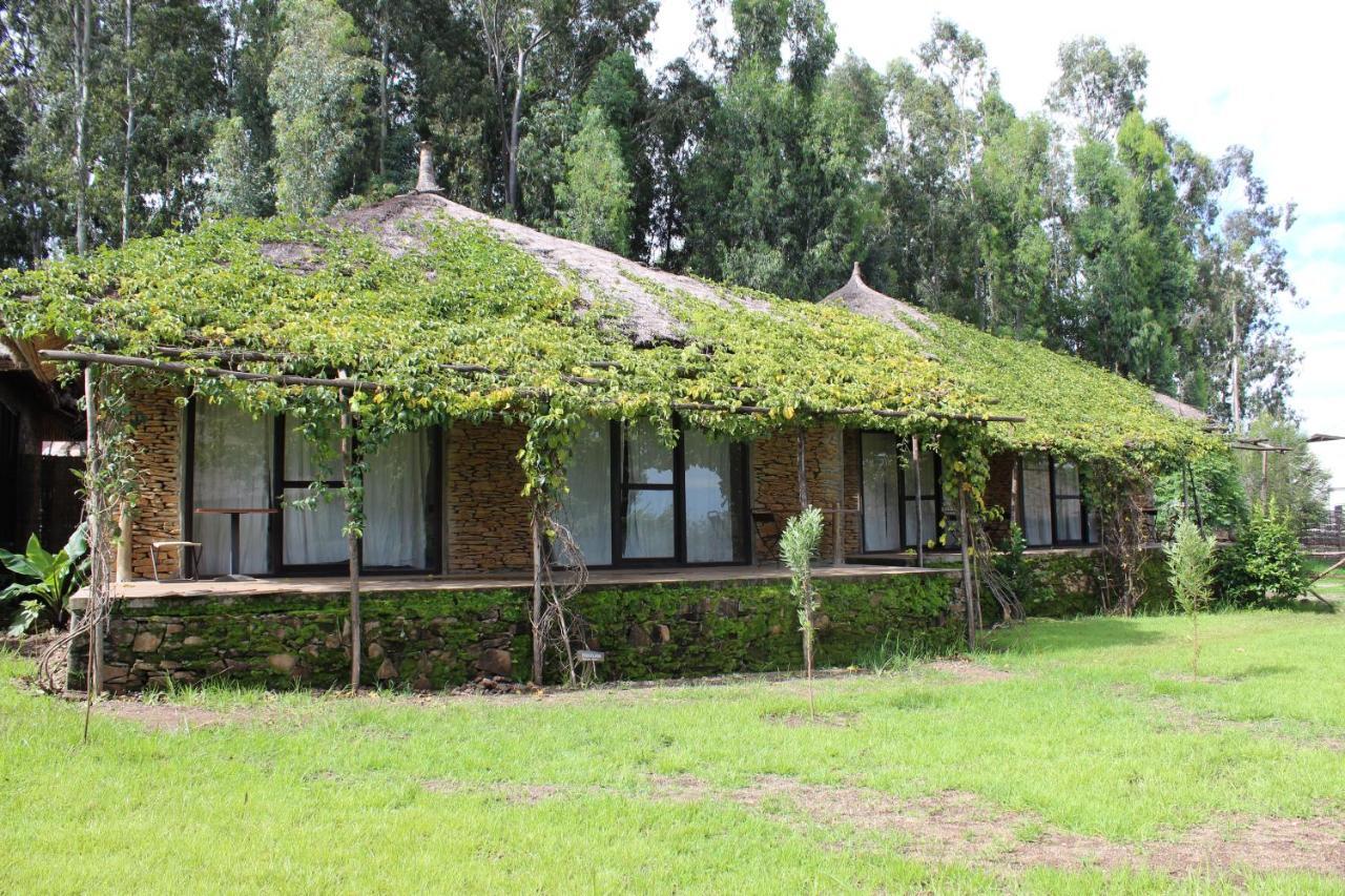 Mayleko Lodge Gondar Exterior foto