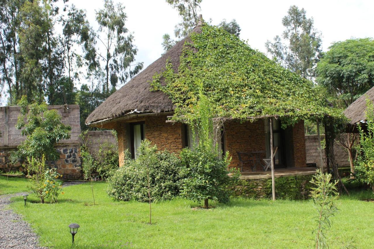 Mayleko Lodge Gondar Exterior foto