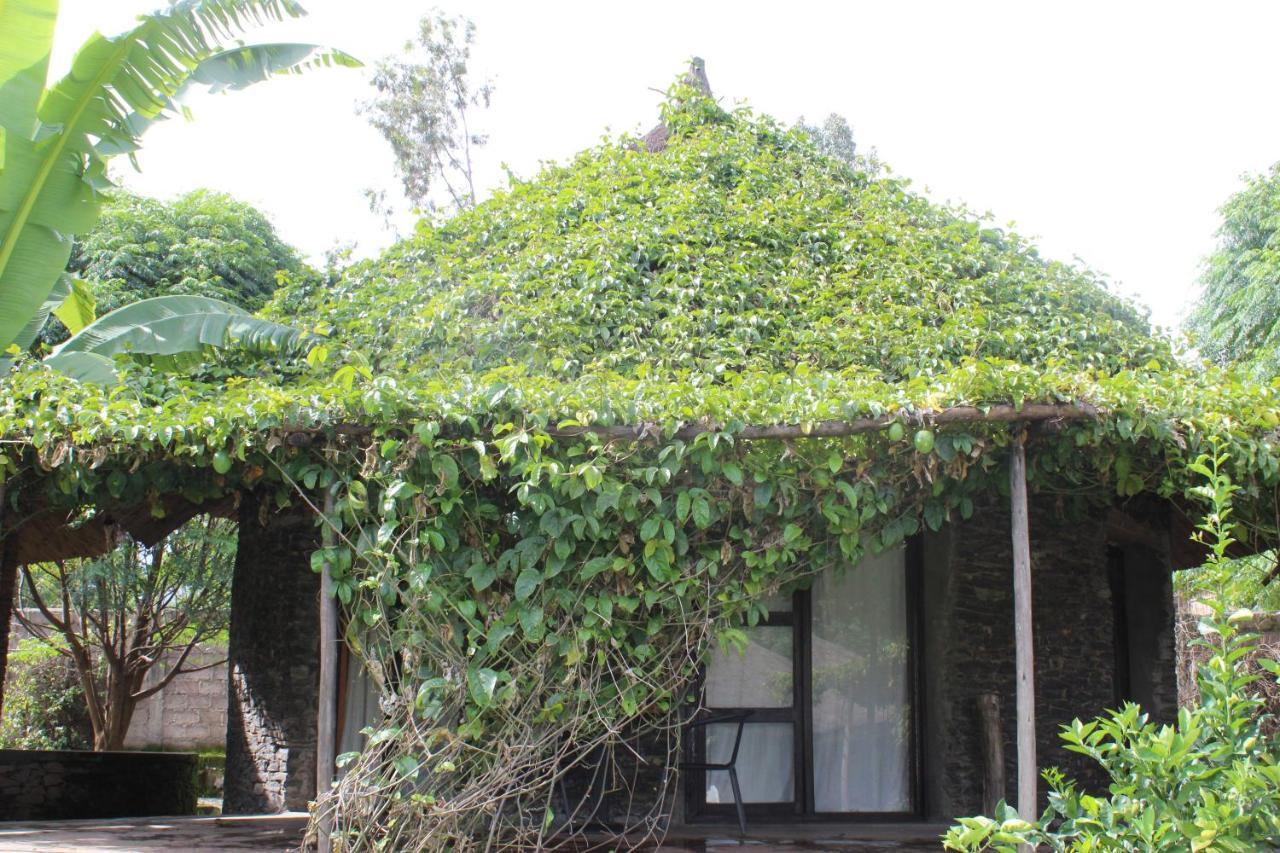 Mayleko Lodge Gondar Exterior foto