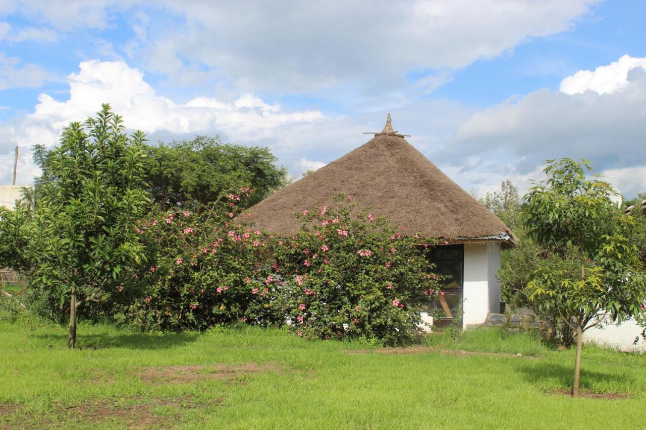 Mayleko Lodge Gondar Exterior foto
