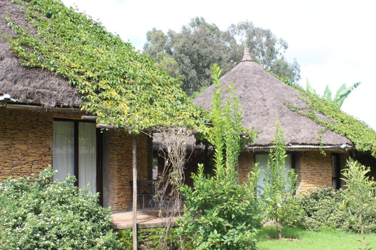 Mayleko Lodge Gondar Exterior foto
